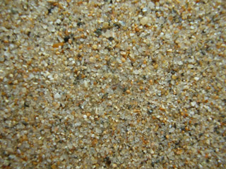 Playa Cochoa, Viña del mar, Chile